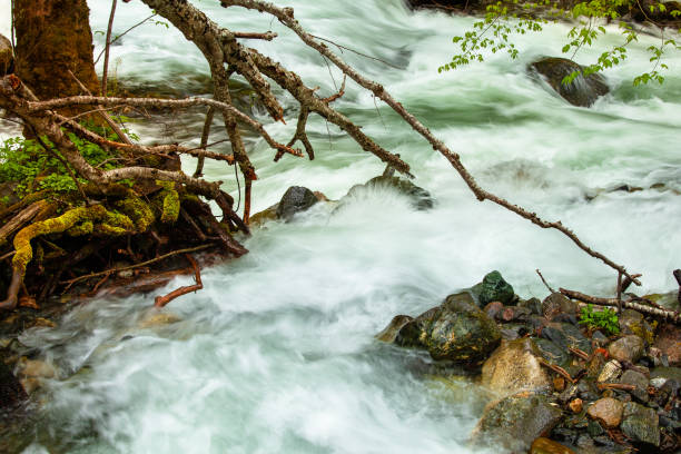 istock River flow in spring with stones in Rila mountains 1366779530
