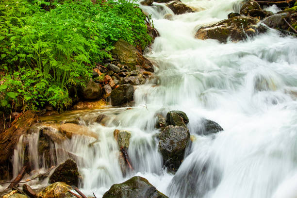 istock River flow in spring with stones in Rila mountains 1366779535