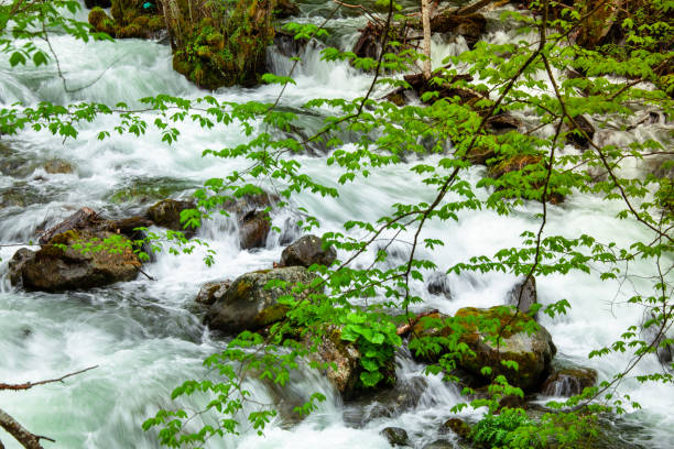istock River flow in spring with stones in Rila mountains 1366779551
