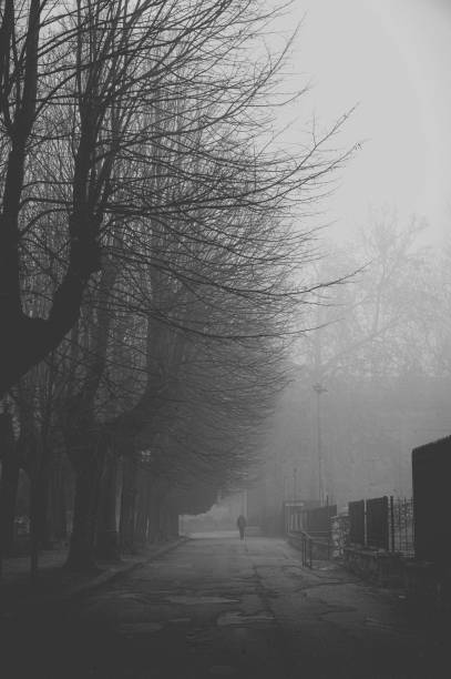 istock bleak park with fog and a walking person 1366780752