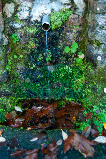 istock Natural stone spring water source with moss and leaves in autumn 1366781013