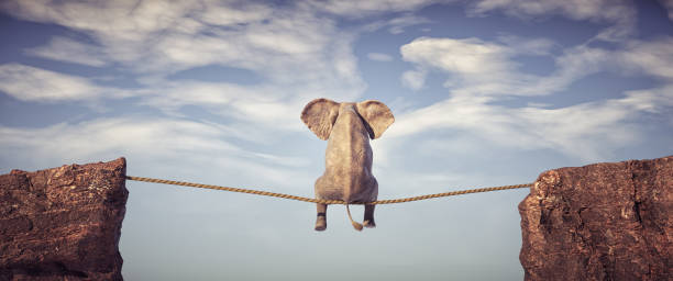 istock Elephant sitting on slackline rope above a gap between two mountain peaks. 1366784033