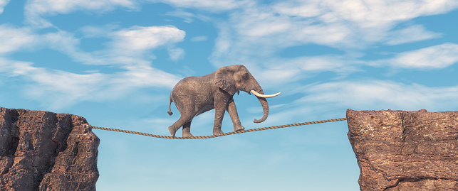 Elephant walks on slackline rope above a gap between two mountain peaks. Risk taking and destination concept.  This is a 3d render illustration