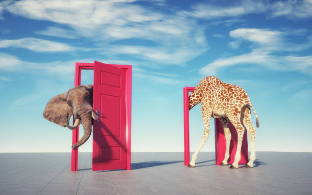 istock Giraffe entering a door and gets out as an elephant. 1366784045
