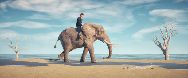 istock Man rides an elephant in the desert. 1366784080