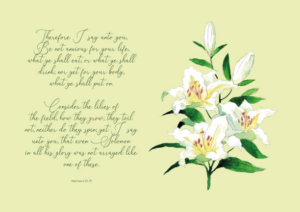 White vintage hand drawn watercolor lily Christian symbol of purity with inspiring Bible quote on light green background Retro hand drawn watercolour painting of white lily with inspiring Bible quote trusting god quotes stock illustrations