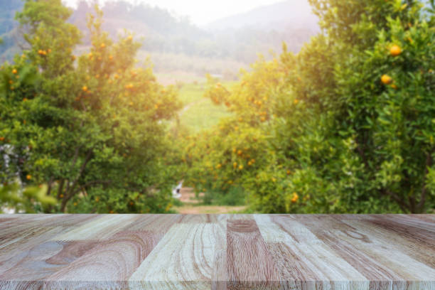 istock Wooden tabletop on blurred orange fields background, can be used for display or montage your products 1366790671