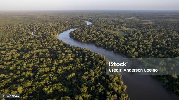 Amazon Rainforest And Rivers On Sunny Days Stock Photo - Download Image Now - Amazon Region, Forest, Brazil