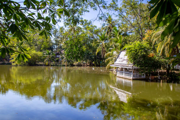 istock Wat Luang Pho Sot Thammakayaram in Ratchaburi, Thailand 1366792399