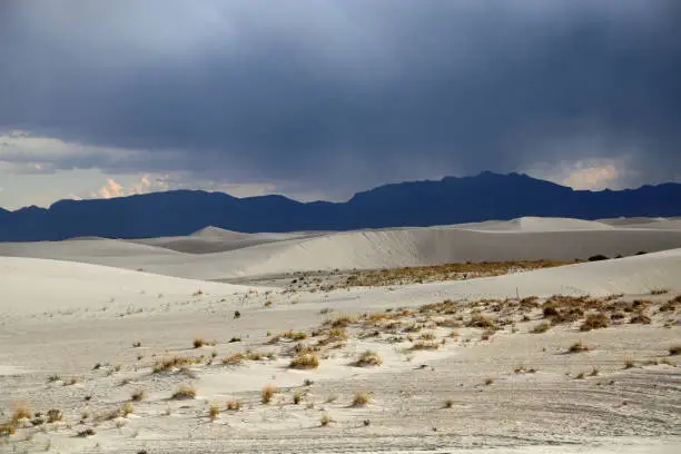 Photo of Parabolic dune