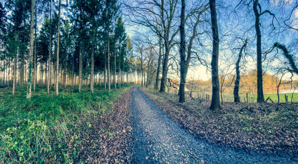 istock A path next to a forest and a river in winter. 1366792688
