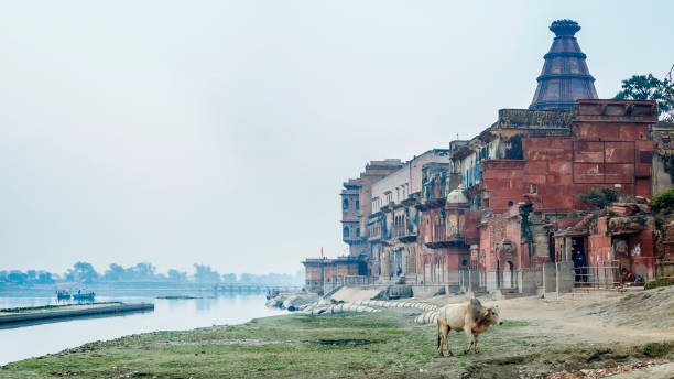 vrindavan indien januar 2020: pilger auf dem fluss in der nähe des tempels. krishna-tempel am keshi ghat am yamuna-fluss - yamuna river stock-fotos und bilder