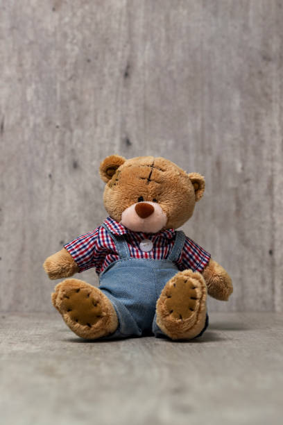 istock Sitting teddy bear dressed as a farmer looking straight ahead 1366794043