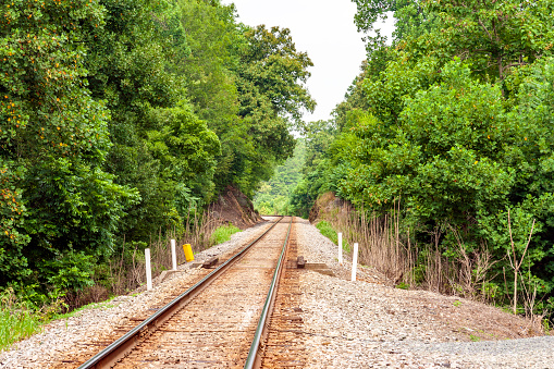 Well maintained single line railroad tracks cutting through a forest than disappearing around a curve into those woods