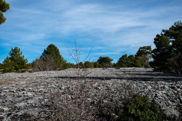 A Rocky Field stock photo