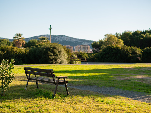 panoramic nature park with bench in nature background, trees and blue sky