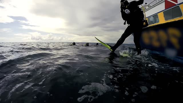 Scuba Diver Jumping Off Dive Boat - High Speed Camera Shot