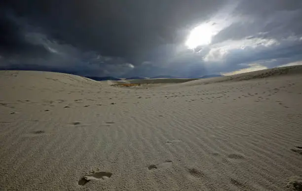 Photo of Human traces in sand