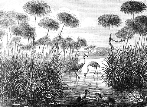 Vintage and retro collage of Flamingo birds. antique hand drawn flamingo papyrus illustration.