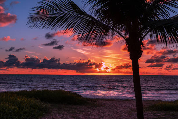 istock Sunrise in Boa Viagem beach 1366800922
