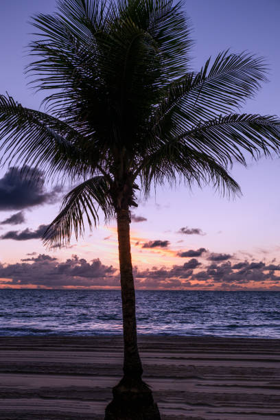 istock Sunrise in Boa Viagem beach 1366800932