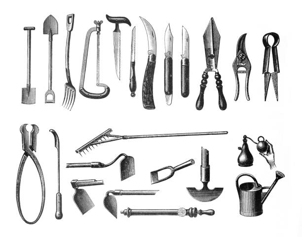 Garden tools - Antique hand drawn engraved gardening tool illustration. Garden tools - Antique hand drawn engraved gardening tool illustration antique pitchfork stock illustrations