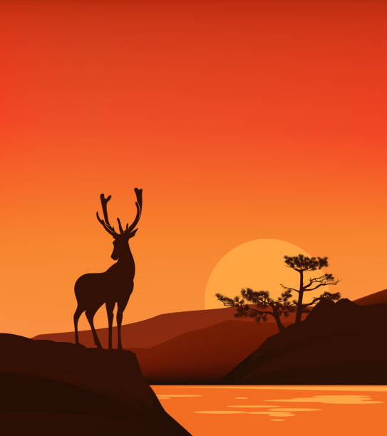 istock vector silhouette scene of deer stag standing on cliff at sunset lake 1366801730