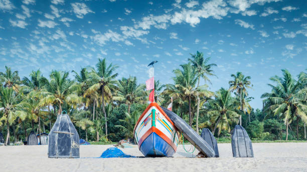 fischerboote auf dem sand, die küste vor der kulisse von palmen und blauem himmel. südindien - tamil stock-fotos und bilder