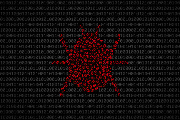 Bug silhouette composed from red 0 and 1 digits over binary code Bug silhouette composed from red 0 and 1 digits over dark binary code surface. Concept of software bug, error or fault in computer program, bug finding and fixing debug stock illustrations