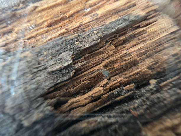 istock Very old wood with glass on it. 1366805868