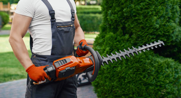 istock Man in uniform posing at garden with electric trimmer 1366807418