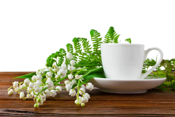 cup of tea with may bells flowers and fern leaves - usa restaurant flower bed beauty in nature imagens e fotografias de stock