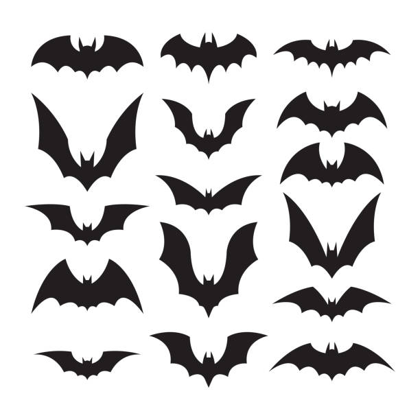 illustrations, cliparts, dessins animés et icônes de ensemble de silhouettes de chauves-souris - bats