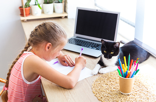 Caucasian cute school girl doing homework at home, writing or drawing in notebook, next to laptop, black and white cat lying nearby. Cozy workplace by window. Pet companion.
