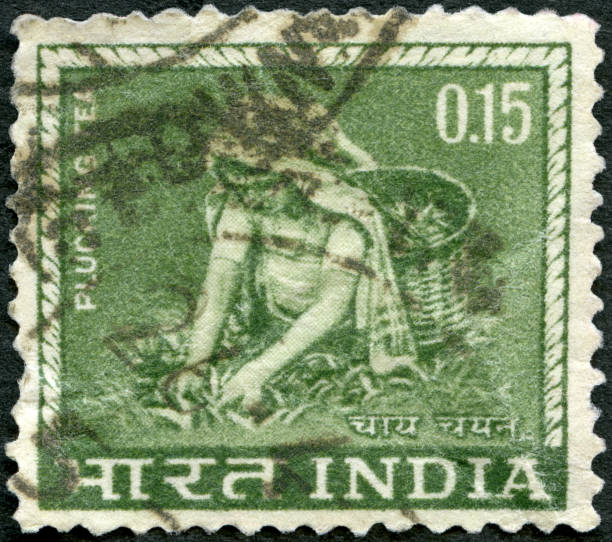 istock Postage stamp printed in India shows Tea Picking plucking 1366808924