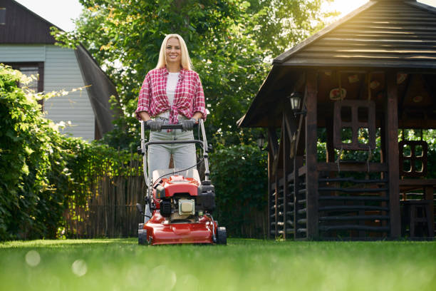 istock Woman trimming grass with lawn mower on backyard 1366809048