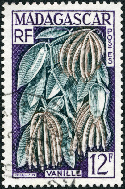 istock Postage stamp printed in Malagasy shows Vanilla pod 1366809277