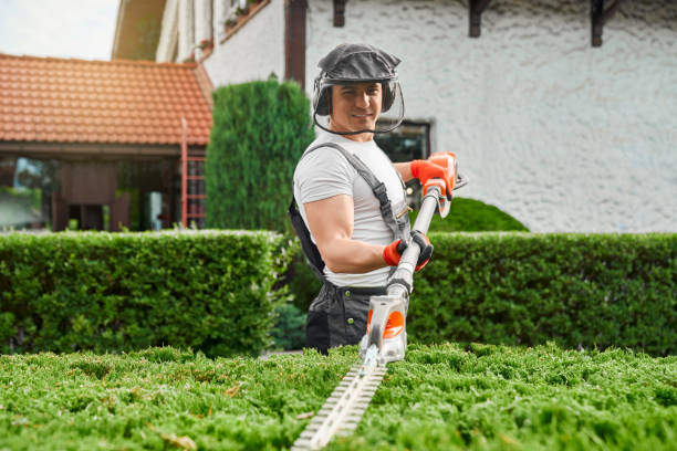 istock Gardener using electric hedge trimmer for work outdoors 1366809352