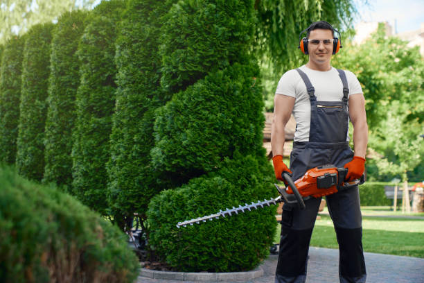 istock Man holding electric trimmer while standing at garden 1366812336