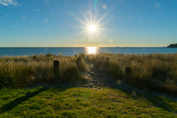 istock Sand track through pingao beach vegetation and between ropes and bollard looking into sun above distant horizon. 1366812595