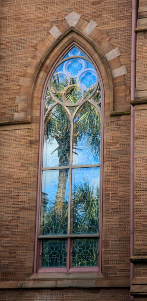 palmetto reflejado en una ventana de la catedral - day vertical palmetto south carolina fotografías e imágenes de stock