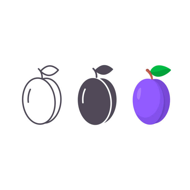zestaw ikon plum vector, izolowany symbol śliwki - plum leaf fruit white stock illustrations