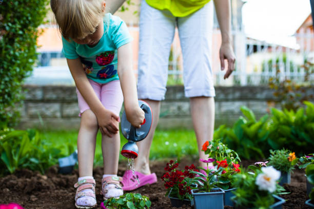 istock Teaching children to care for plants 1366816054