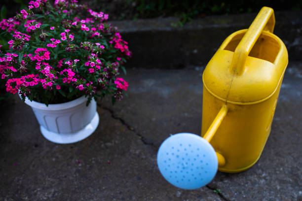 An image of a yellow plastic watering can next to a flower pot with small pink flowers