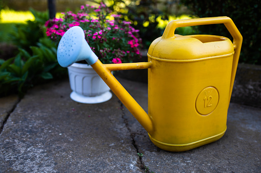 An image of a yellow plastic watering can in front of a flower pot with small pink flowers