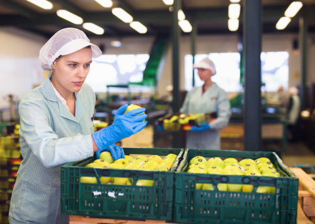 istock Young woman in uniform holding crate with apples during packaging at warehouse 1366817366