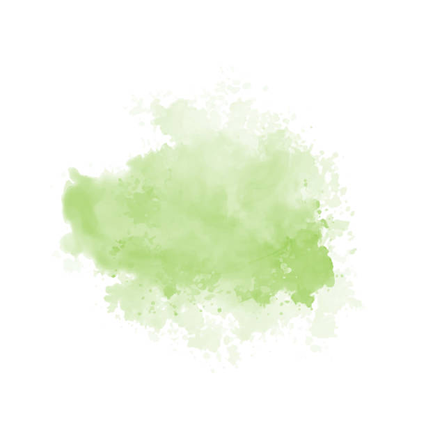 Abstract green watercolor water splash on a white background Abstract green watercolor water splash on a white background. Vector watercolour texture in salad color. Ink paint brush stain. Green splatter spot. Watercolor pastel splash smudged stock illustrations
