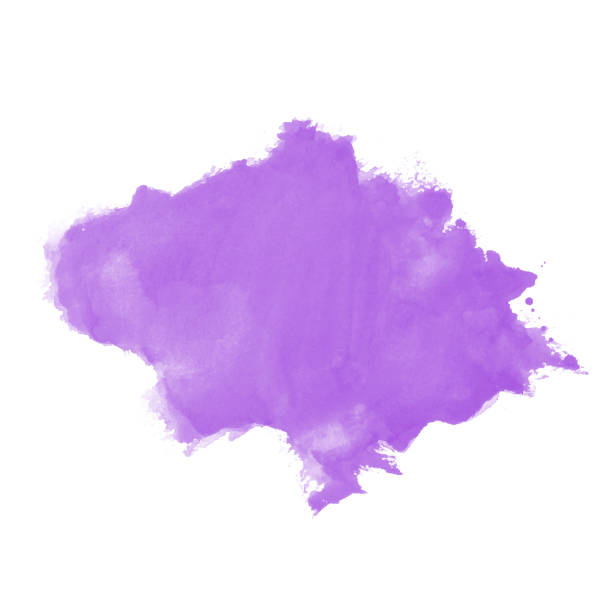 Abstract purple watercolor stain on white background Abstract purple watercolor stain on white background. Vector violet water color texture. Ink paint brush stroke. Bright watercolor splash. Purple watercolour splatter pap smear stock illustrations