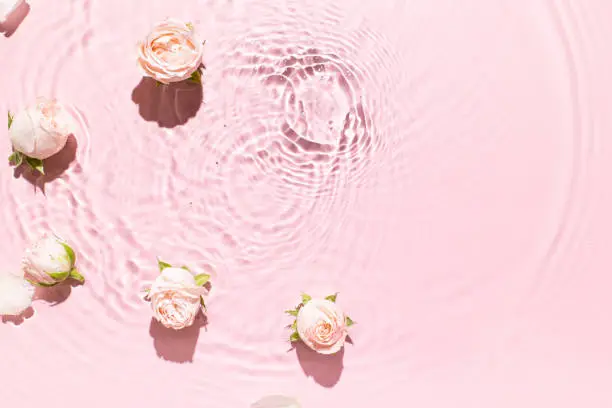 Photo of Water background. Pink aqua texture, surface of ripples, transparent, rose flower, shadows and sunlight.