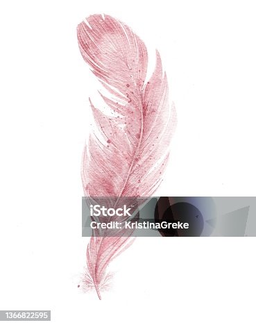istock Watercolor pink feather 1366822595